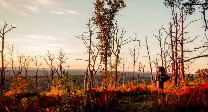 A person wearing a backpack faces away from the camera looking out at a forested area. 